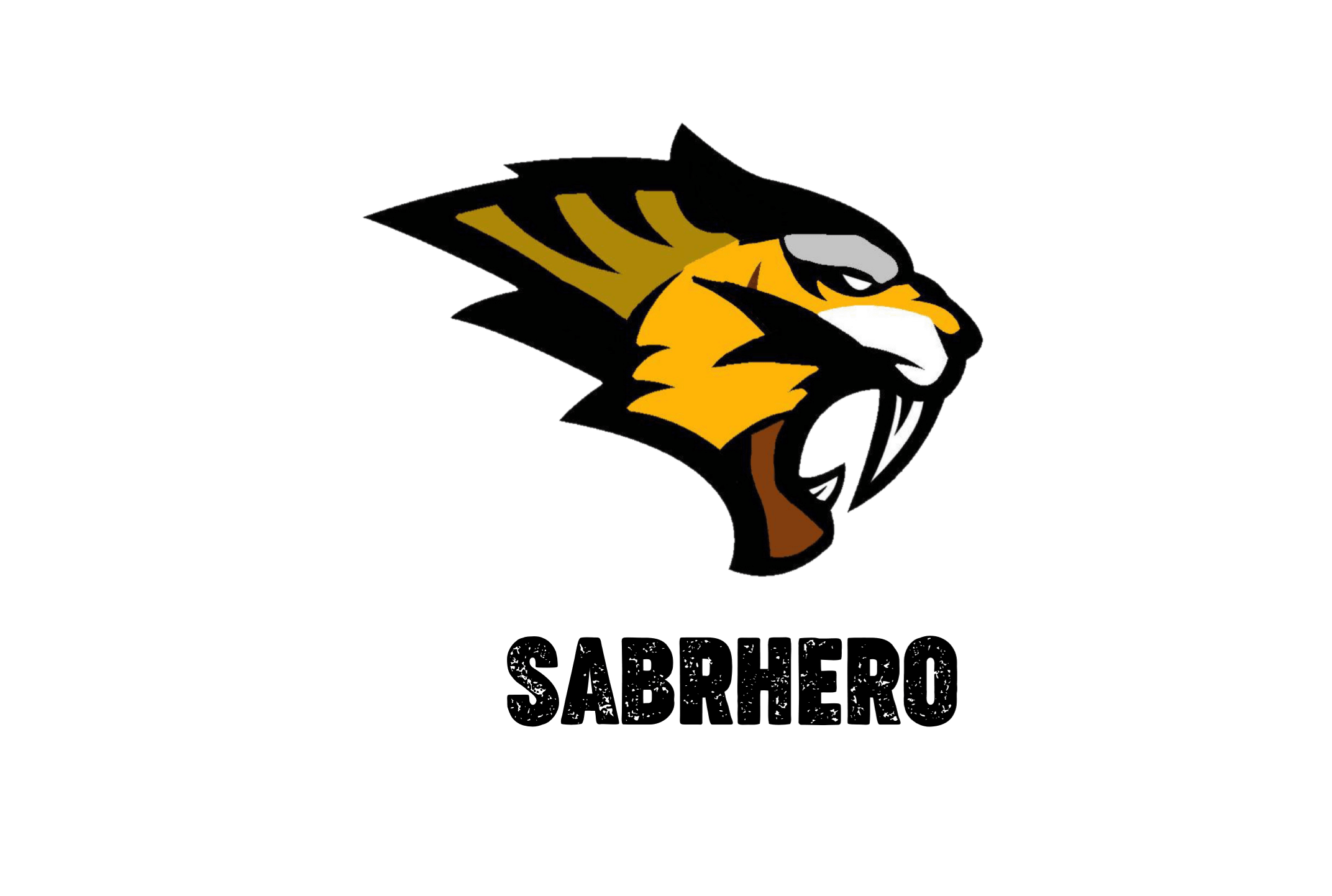 Comprendre, le guide: Quelle raquette me convient? - SABRHERO